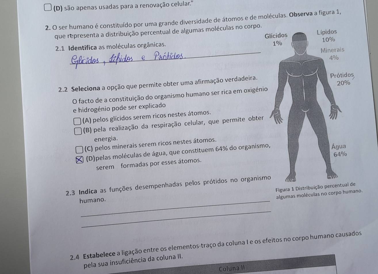 (D) são apenas usadas para a renovação celular.''
2. O ser humano é constituído por uma grande diversidade de átomos e de moléculas. Observa a figura 1,
que representa a distribuição percentual de algumas moléculas no corpo.
_
2.1 Identifica as moléculas orgânicas. G
2.2 Seleciona a opção que permite obter uma afirmação verdadeira.
O facto de a constituição do organismo humano ser rica em oxigénio
e hidrogénio pode ser explicado
(A) pelos glícidos serem ricos nestes átomos.
(B) pela realização da respiração celular, que permite obter
energia.
(C) pelos minerais serem ricos nestes átomos.
(D)pelas moléculas de água, que constituem 64% do organismo
serem formadas por esses átomos.
2.3 Indica as funções desempenhadas pelos prótidos no organismo
Figura 1 Distribu
humano.
algumas moléculas no corpo humano.
_
2.4 Estabelece a ligação entre os elementos-traço da coluna I e os efeitos no corpo humano causados
pela sua insuficiência da coluna II.
Coluna II