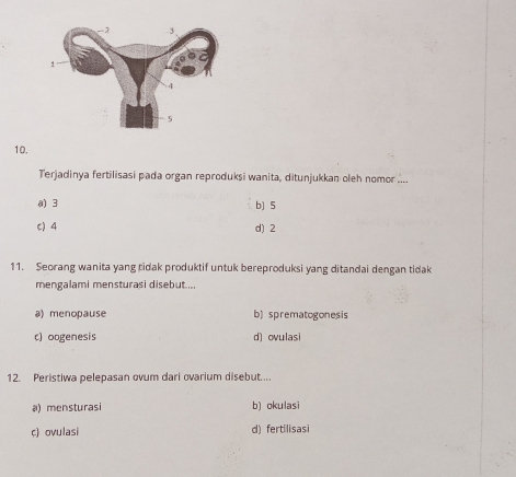 Terjadinya fertilisasi pada organ reproduksi wanita, ditunjukkan oleh nomor ....
a) 3 b] 5
c) 4 d) 2
11. Seorang wanita yang tidak produktif untuk bereproduksi yang ditandai dengan tidak
mengalami mensturasi disebut ..
a) menopause b) sprematogonesis
c) oogenesis d) ovulasi
12. Peristiwa pelepasan ovum dari ovarium disebut....
a) mensturasi b) okulasi
c) ovulasi d) fertilisasi