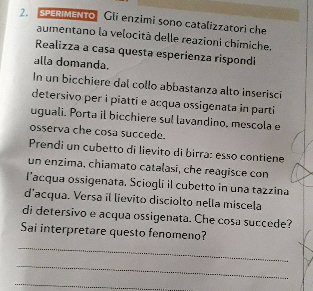 SPERIMENTo Gli enzimi sono catalizzatori che 
aumentano la velocità delle reazioni chimiche. 
Realizza a casa questa esperienza rispondi 
alla domanda. 
In un bicchiere dal collo abbastanza alto inserisci 
detersivo per i piatti e acqua ossigenata in parti 
uguali. Porta il bicchiere sul lavandino, mescola e 
osserva che cosa succede. 
Prendi un cubetto di lievito di birra: esso contiene 
un enzima, chiamato catalasi, che reagisce con 
l’acqua ossigenata. Sciogli il cubetto in una tazzina 
d’acqua. Versa il lievito disciolto nella miscela 
di detersivo e acqua ossigenata. Che cosa succede? 
Sai interpretare questo fenomeno? 
_ 
_ 
_