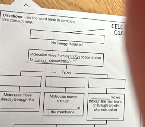 Directions: Use the word bank to complete 
this concept map. CELL 
Can 
No Energy Required 
Molecules move from a_ concentration 
to_ concentration 
_Types_ 
Molecules move Molecules moves _moves 
directly through the through through the membrane 
_ 
_in or through protein 
the membrane channels called 
_