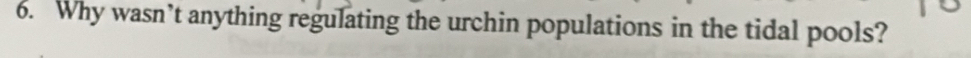 Why wasn’t anything regulating the urchin populations in the tidal pools?