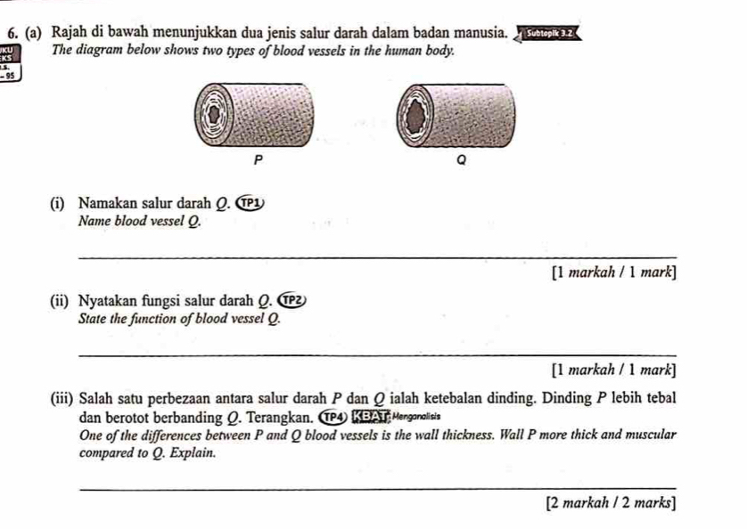 Rajah di bawah menunjukkan dua jenis salur darah dalam badan manusia. Subtopik 3.2
: The diagram below shows two types of blood vessels in the human body. 
s
- 95
P
(i) Namakan salur darah Q. C
Name blood vessel Q. 
_ 
[1 markah / 1 mark] 
(ii) Nyatakan fungsi salur darah Q. 
State the function of blood vessel Q. 
_ 
[1 markah / 1 mark] 
(iii) Salah satu perbezaan antara salur darah P dan Q ialah ketebalan dinding. Dinding P lebih tebal 
dan berotot berbanding O. Terangkan. TP4 KBAT Mengonolisis 
One of the differences between P and Q blood vessels is the wall thickness. Wall P more thick and muscular 
compared to Q. Explain. 
_ 
[2 markah / 2 marks]