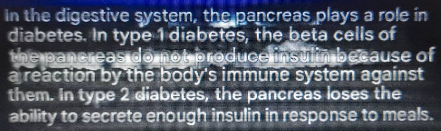 In the digestive system, the pancreas plays a role in 
diabetes. In type 1 diabetes, the beta cells of 
the pancreas do not produce insulin because of 
a reaction by the body's immune system against 
them. In type 2 diabetes, the pancreas loses the 
ability to secrete enough insulin in response to meals.