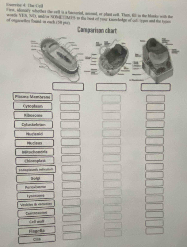 The Cell 
First, identify whether the cell is a bacterial, animal, or plant cell. Then, fill in the blanks with the 
words YES, NO, and/or SOMETIMES to the best of your knowledge of cell types and the types 
of organelles found in each (50 pts) 
Plasma Membrane 
Cytoplasm 
Ribosome 
Cytoskeleton 
Nucleoid 
Nucleus 
Mitochondria 
Chioroplast 
Endoplasmic retículum 
Golgi 
Peroxisome 
Lysosame 
Vesicles & vacuoles 
Centrosome 
_  
Cell wall 
2 
Flagelia 
□ 
Cilia