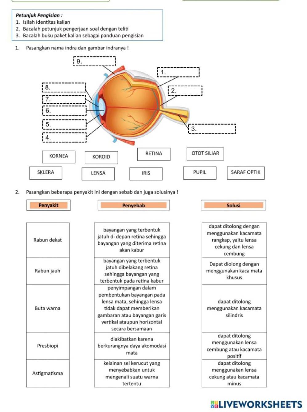 Petunjuk Pengisian : 
1. Isilah identitas kalian 
2. Bacalah petunjuk pengerjaan soal dengan teliti 
3. Bacalah buku paket kalian sebagai panduan pengisian 
1. Pasangkan nama indra dan gambar indranya ! 
2. Pasangkan beberapa penyakit ini dengan sebab dan juga solusinya ! 
Penyakit Penyebab Solusi 
dapat ditolong dengan 
bayangan yang terbentuk 
jatuh di depan retina sehingga menggunakan kacamata 
Rabun dekat rangkap, yaitu lensa 
bayangan yang diterima retina 
akan kabur cekung dan lensa 
cembung 
bayangan yang terbentuk 
Dapat diolong dengan 
Rabun jauh jatuh dibelakang retina menggunakan kaca mata 
sehingga bayangan yang khusus 
terbentuk pada retina kabur 
penyimpangan dalam 
pembentukan bayangan pada 
lensa mata, sehingga lensa dapat ditolong 
Buta warna tidak dapat memberikan menggunakan kacamata 
gambaran atau bayangan garis silindris 
vertikal ataupun horizontal 
secara bersamaan 
diakibatkan karena dapat ditolong 
Presbiopi berkurangnya daya akomodasi menggunakan lensa 
mata cembung atau kacamata 
positif 
kelainan sel kerucut yang dapat ditolong 
Astigmatisma menyebabkan untuk menggunakan lensa 
mengenali suatu warna cekung atau kacamata 
tertentu minus 
BLIVEWORKSHEETS