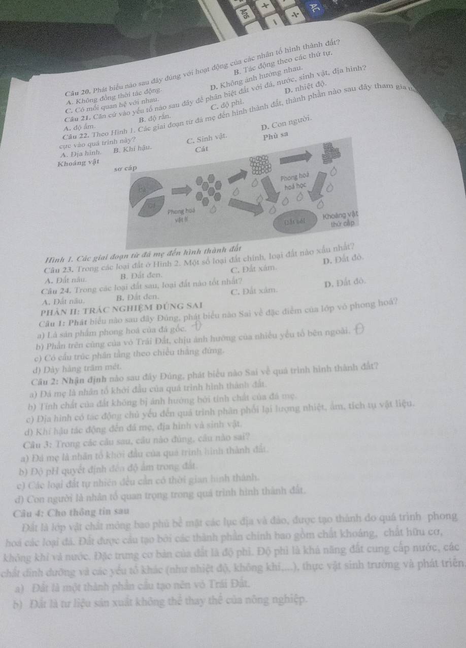 B. Tác động theo các thứ tự.
Câu 20. Phát biểu nào sau đây đúng với hoạt động của các nhân tổ hình thành đất?
D. Không ảnh hưởng nhau.
Cầu 21. Căn cứ vào yếu tổ nào sau đãy để phân biệt đất với đả, nước, sinh vật, địa hình
C. độ phì. D. nhiệt độ.
A. Không đồng thời tác động.
C. Có mỗi quan hệ với nhau.
Câu 22, Theình 1. Các giai đoạn từ đá mẹ đến hình thành đất, thành phần nào sau đây tham gia ư
B. độ rắn.
A. độ ẩm
D. Con người.
cực vào quá
A. Đja hinh.
Khoáng vật
Hình 1. Các giai đoạn từ đã mẹ đến hìn
D. Đất đỏ.
Câu 23. Trong các loại đất ở Hình 2. Một số loại đất chính, loại đất nà
A. Đất nâu. B. Đất đen. C. Đất xám.
Câu 24. Trong các loại đất sau, loại đất nào tốt nhất?
D. Đất đô.
A. Dất nău. B. Đất đen. C. Đất xâm.
phản H: trác nghiệm đúng sai
Câu I: Phát biểu nào sau đây Đúng, phát biểu nào Sai về đặc điểm của lớp vỏ phong hoá?
a) Là sản phẩm phong hoá của đá gốc. 7
b) Phần trên củng của vó Trải Đất, chịu ảnh hướng của nhiều yểu tổ bên ngoài.
c) Có cầu trúc phân tầng theo chiều thắng đứng.
d) Dày hàng trấm mét.
Cầu 2: Nhận định nào sau đây Đủng, phát biểu nào Sai về quá trình hình thành đất?
a) Đá mẹ là nhân tổ khởi đầu của quá trình hình thành đất.
b) Tính chất của đất không bị ánh hướng bởi tính chất của đá mẹ.
c) Địa hình có tác động chủ yếu đến quả trình phân phối lại lượng nhiệt, âm, tích tụ vật liệu.
d) Khí hậu tác động đến đá mẹ, địa hình và sinh vật.
Câu 3: Trong các cầu sau, cầu nào đúng, câu nào sai?
a) Đá mẹ là nhân tổ khởi đầu của quá trình hình thành đấi.
b) Độ pH quyết định đến độ ấm trong đất.
c) Các loại đất tự nhiên đều cần có thời gian hình thành.
d) Con người là nhân tổ quan trọng trong quá trình hình thành đất,
Câu 4: Cho thông tin sau
Đất là lớp vật chất mông bao phủ bể mặt các lục địa và đảo, được tạo thành đo quá trình phong
hoá các loại đá. Đất được cầu tạo bởi các thành phần chính bao gồm chất khoáng, chất hữu cơ,
không khi và nước. Đặc trưng cơ bản của đất là độ phi. Độ phi là khá năng đất cung cấp nước, các
chất đình dưỡng và các yểu tổ khác (như nhiệt độ, không khi,...), thực vật sinh trường và phát triển,
a) Đất là một thành phần cầu tạo nên vỏ Trái Đất.
b) Đất là tư liệu sản xuất không thể thay thể của nông nghiệp.