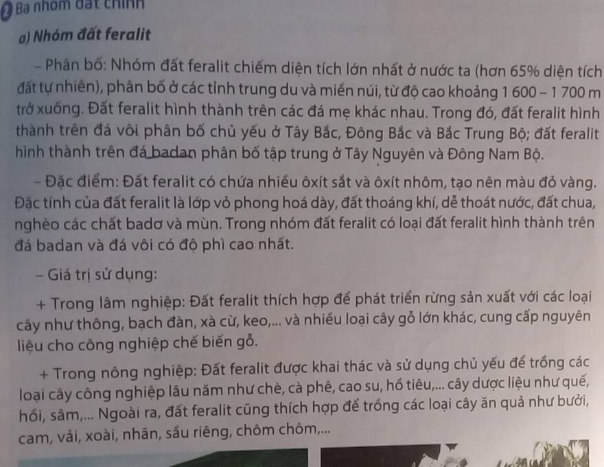 Đ  Ba nhóm đặt chính
a) Nhóm đất feralit
- Phân bố: Nhóm đất feralit chiếm diện tích lớn nhất ở nước ta (hơn 65% diện tích
đất tự nhiên), phân bố ở các tỉnh trung du và miền núi, từ độ cao khoảng 1 600 - 1 700 m
trở xuống. Đất feralit hình thành trên các đá mẹ khác nhau. Trong đó, đất feralit hình
thành trên đá vôi phân bố chủ yếu ở Tây Bắc, Đông Bắc và Bắc Trung Bộ; đất feralit
hình thành trên đá badan phân bố tập trung ở Tây Nguyên và Đông Nam Bộ.
- Đặc điểm: Đất feralit có chứa nhiều ôxít sắt và ôxít nhôm, tạo nên màu đỏ vàng.
Đặc tính của đất feralit là lớp vỏ phong hoá dày, đất thoáng khí, dễ thoát nước, đất chua,
nghèo các chất badơ và mùn. Trong nhóm đất feralit có loại đất feralit hình thành trên
đá badan và đá vôi có độ phì cao nhất.
- Giá trị sử dụng:
+ Trong lâm nghiệp: Đất feralit thích hợp để phát triển rừng sản xuất với các loại
cây như thông, bạch đàn, xà cừ, keo,... và nhiều loại cây gỗ lớn khác, cung cấp nguyên
liệu cho công nghiệp chế biến gỗ.
+ Trong nông nghiệp: Đất feralit được khai thác và sử dụng chủ yếu để trồng các
loại cây công nghiệp lâu năm như chè, cà phê, cao su, hổ tiêu,... cây dược liệu như quế,
hổi, sâm,... Ngoài ra, đất feralit cũng thích hợp để trồng các loại cây ăn quả như bưởi,
cam, vải, xoài, nhãn, sấu riêng, chôm chôm,...