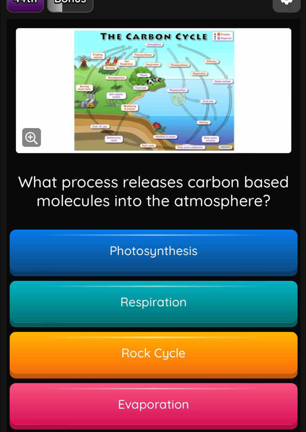 What process releases carbon based
molecules into the atmosphere?
Photosynthesis
Respiration
Rock Cycle
Evaporation