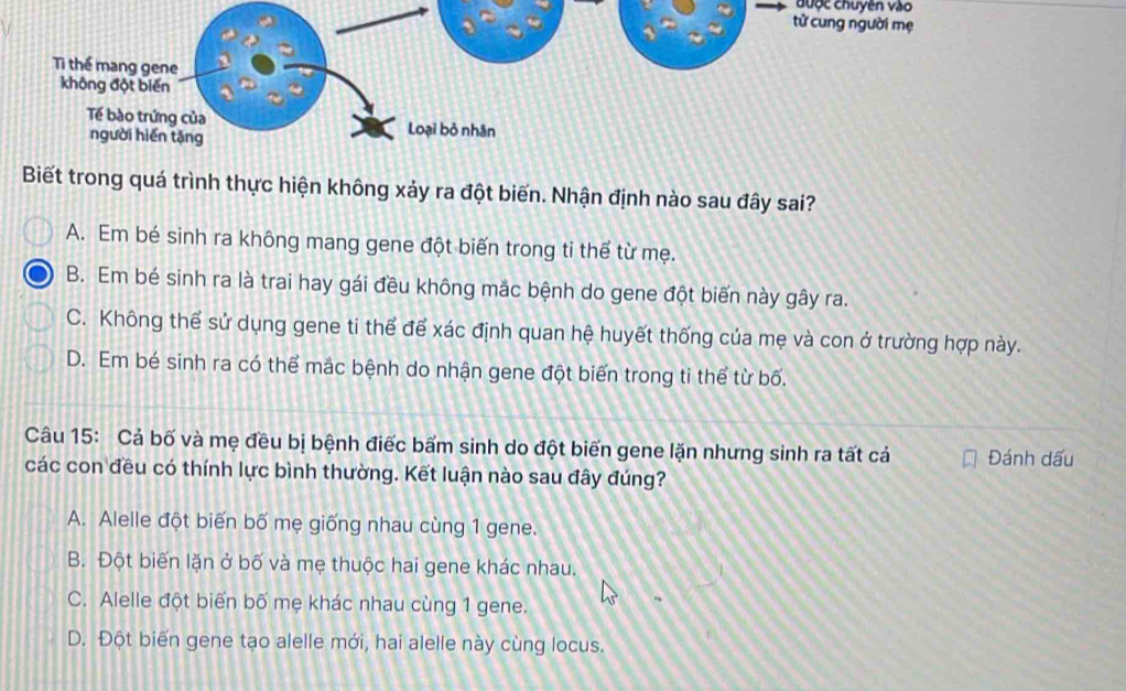 được chuyện vào
Biết trong quá trình thực hiện không xảy ra đột biến. Nhận định nào sau đây sai?
A. Em bé sinh ra không mang gene đột biến trong ti thể từ mẹ.
B. Em bé sinh ra là trai hay gái đều không mắc bệnh do gene đột biến này gây ra.
C. Không thể sử dụng gene ti thể để xác định quan hệ huyết thống của mẹ và con ở trường hợp này.
D. Em bé sinh ra có thể mắc bệnh do nhận gene đột biến trong ti thể từ bố.
Câu 15: Cả bố và mẹ đều bị bệnh điếc bẩm sinh do đột biến gene lặn nhưng sinh ra tất cả Đánh dấu
các con đều có thính lực bình thường. Kết luận nào sau đây đúng?
A. Alelle đột biến bố mẹ giống nhau cùng 1 gene.
B. Đột biến lặn ở bố và mẹ thuộc hai gene khác nhau.
C. Alelle đột biển bố mẹ khác nhau cùng 1 gene.
D. Đột biến gene tạo alelle mới, hai alelle này cùng locus.