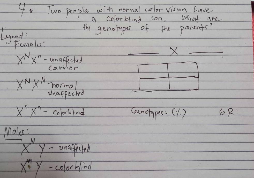 Two people with normal color vision have 
a colorblind son. What are 
the genotypes of the parents? 
lgend: 
Femakes 
_X_
x^Nx^n unaffected 
carvier
X^NX^N ormal 
unaffected
x^nx^n-colorblind 6R: 
Genotypes:(1. ) 
Makes:
x^Ny- unaffecled
x^ny colorblind