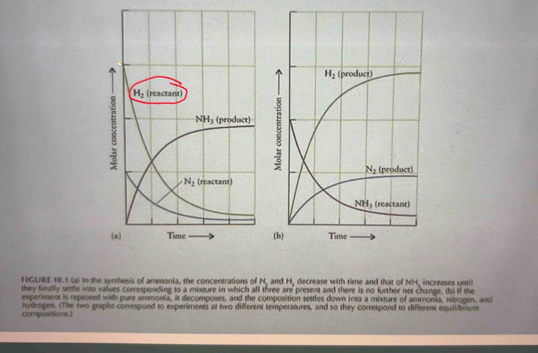 FIGURE 10.1 (a) In the synthesis of ammonia, the concentrations of N, and H_2 decrease with time and that of NH, increases until
they finally settle into values corresponding to a mixture in which all three are present and there is no further net change. (b) If the
experiment is repeared with pure ammonia, it decomposes, and the composition settles down into a mixture of ammonia, nitrogen, and
hydrogen. (The two graphs correspond to experiments at two different temperatures, and so they correspond to different equilibrium
compositions.)