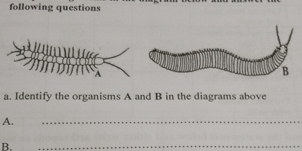 following questions 
a. Identify the organisms A and B in the diagrams above 
A. 
_ 
B. 
_