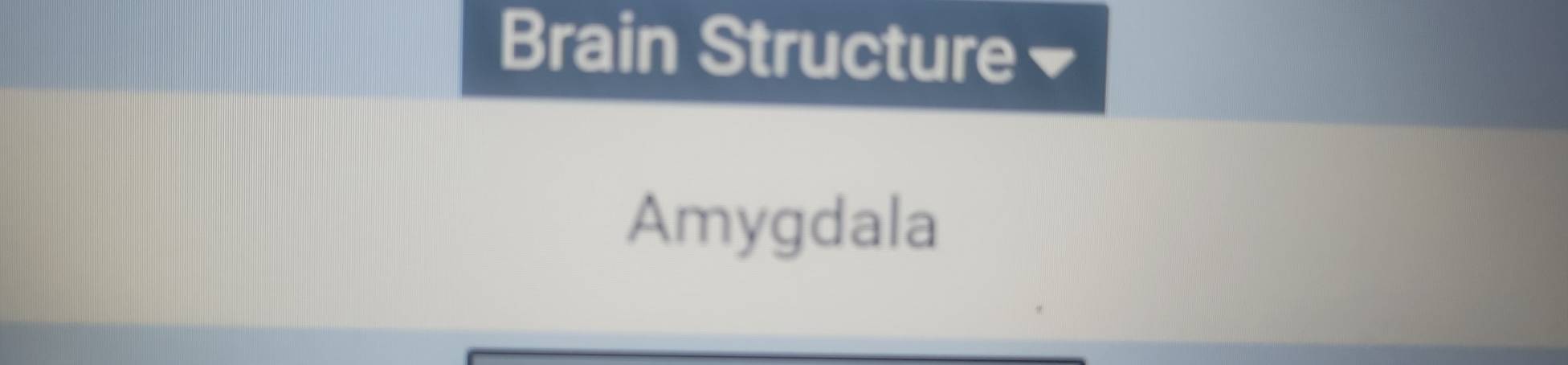 Brain Structure₹ 
Amygdala