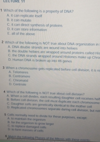 LECTURE 11
1 Which of the following is a property of DNA?
A. it can replicate itself
B. it can mutate
C. it can direct synthesis of proteins
D. it can store information
E. all of the above
2 Which of the following is NOT true about DNA organization in
A. DNA double strands are wound into helixes
B. the double helixes are wrapped around proteins called His
C. the DNA strands wrapped around Histones make up Chro
D. Human DNA is broken up into 46 genes
3 When a chromosome gets replicated before cell division, it is re
A. Telomeres
B. Centromere
C. Chromatid
D. Centriole
4 Which of the following is NOT true about cell division?
A. When a cell divides, each resulting daughter cell receives hal!
B. Before cell division, the cell must duplicate each chromosome
C. Daughter cells are genetically identical to the mother cell
D. Replicated chromosomes separate during cell division, but not
5 Cells normally need to divide for these purposes, except;
A. to maintain the organism
B. for the organism to grow larger
C. to replace damaged cells
D. to form masses of cells
6 Match the following Phases of the Mitosis with these events