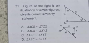 Figure at the right is an
illustration of similar figures.
give its correct similarity 
statement.
A. △ ACBsim △ YZX
B. △ ACBsim △ XYZ
C. △ ABCsim △ XYZ
D. △ ABCsim △ ZYX