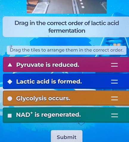 Drag in the correct order of lactic acid 
fermentation 
Drag the tiles to arrange them in the correct order. 
Pyruvate is reduced. = 
Lactic acid is formed. = 
Glycolysis occurs. = 
NAD* is regenerated. = 
Submit