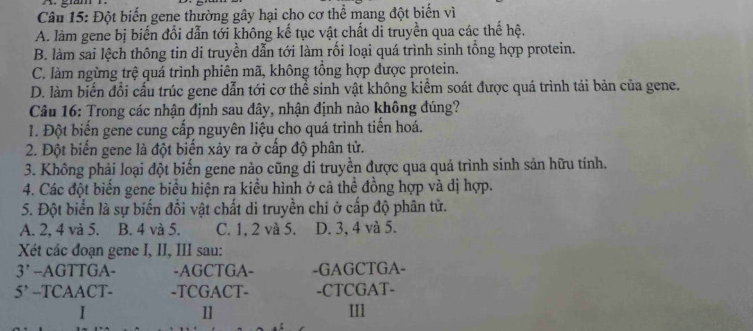 Đột biến gene thường gây hại cho cơ thể mang đột biến vì
A. làm gene bị biến đổi dẫn tới không kế tục vật chất di truyền qua các thế hệ.
B. làm sai lệch thông tin di truyền dẫn tới làm rối loại quá trình sinh tổng hợp protein.
C. làm ngừng trệ quá trình phiên mã, không tổng hợp được protein.
D. làm biến đổi cấu trúc gene dẫn tới cơ thể sinh vật không kiểm soát được quá trình tái bản của gene.
Câu 16: Trong các nhận định sau đây, nhận định nào không đúng?
1. Đột biến gene cung cấp nguyên liệu cho quá trình tiến hoá.
2. Đột biến gene là đột biến xảy ra ở cấp độ phân tử.
3. Không phải loại đột biến gene nào cũng di truyền được qua quá trình sinh sản hữu tính.
4. Các đột biến gene biểu hiện ra kiều hình ở cả thể đồng hợp và dị hợp.
5. Đột biển là sự biến đồi vật chất di truyền chi ở cấp độ phân tử.
A. 2, 4 và 5. B. 4 và 5. C. 1, 2 và 5. D. 3, 4 và 5.
Xét các đoạn gene I, II, III sau:
3’ -AGTTGA- -AGCTGA- -GAGCTGA-
5` --TCAACT- -TCGACT- -CTCGAT-
I III