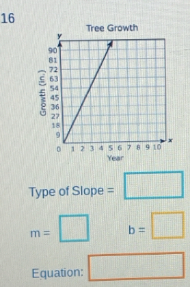 Tree Growth 
Year 
|| 
Type of Slope = □
m=□ b=□
Equation: □