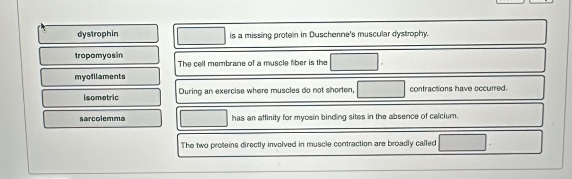 dystrophin is a missing protein in Duschenne's muscular dystrophy.
tropomyosin
The cell membrane of a muscle fiber is the
myofilaments
isometric During an exercise where muscles do not shorten, contractions have occurred.
sarcolemma has an affinity for myosin binding sites in the absence of calcium.
The two proteins directly involved in muscle contraction are broadly called