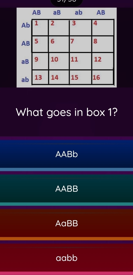 What goes in box 1?
AABb
AABB
AaBB
aabb