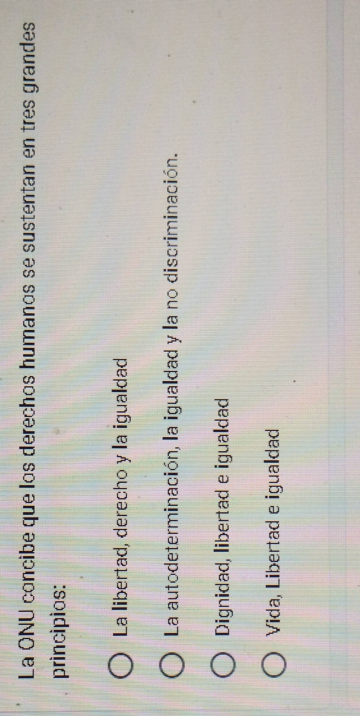 La ONU concibe que los derechos humanos se sustentan en tres grandes
principias:
La libertad, derecho y la igualdad
La autodeterminación, la igualdad y la no discriminación.
Dignidad, libertad e igualdad
Vida, Libertad e igualdad