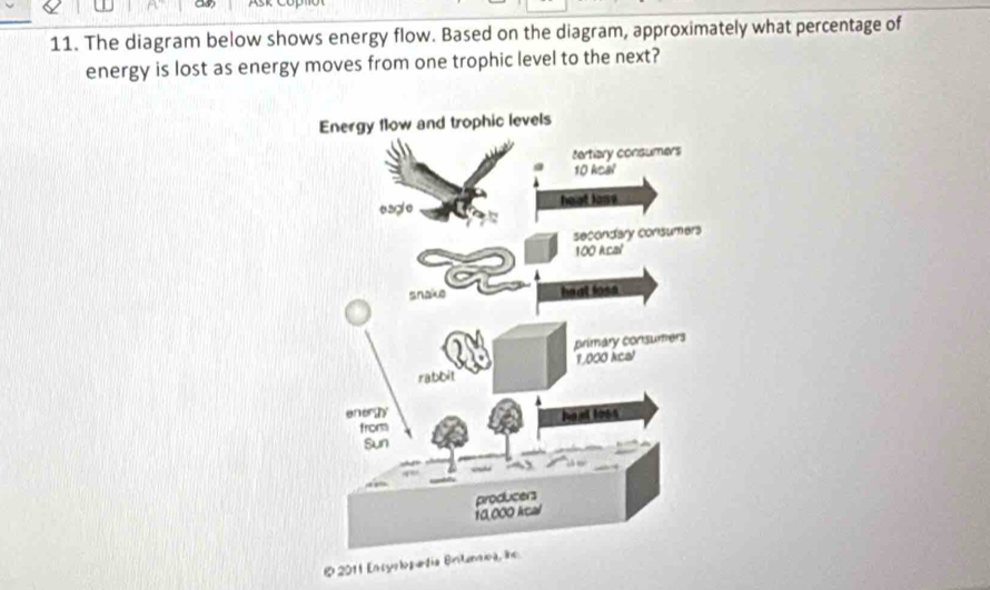 Solved: The diagram below shows energy flow. Based on the diagram ...