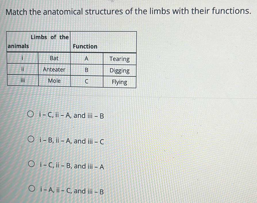 Solved: Match the anatomical structures of the limbs with their ...