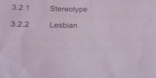 Stereotype 
3.2. 2 Lesbian