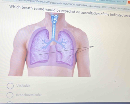 th Adsessmenc | WC

Vesicular
Bronchovesicular