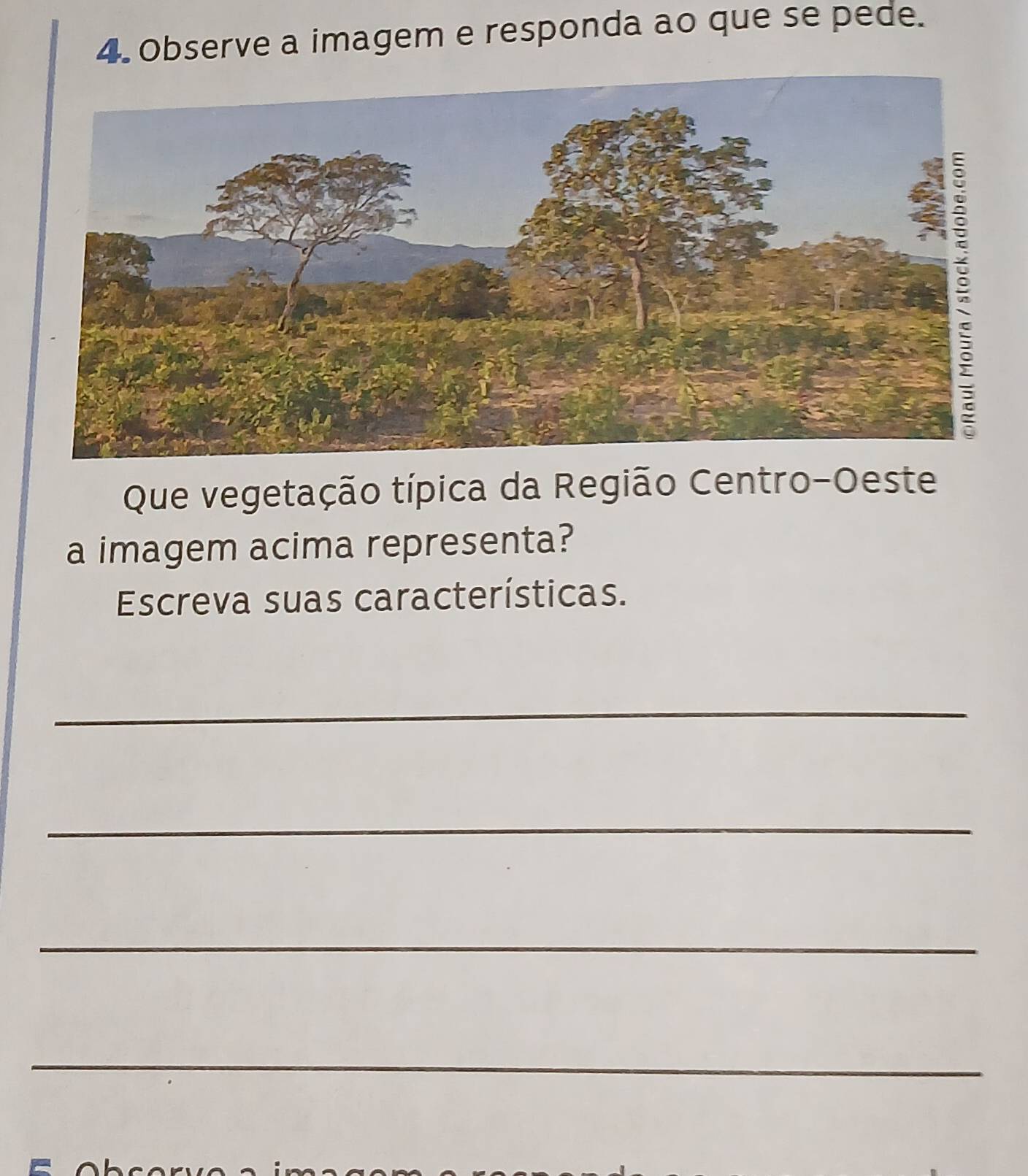 Observe a imagem e responda ao que se pede. 
Que vegetação típica da Região Centro-Oeste 
a imagem acima representa? 
Escreva suas características. 
_ 
_ 
_ 
_