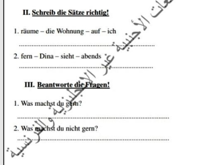 Schreib die Sätze richtig! 
1. räume - die Wohnung - auf - ich 
_ 
_ 
_ 
2. fern - Dina - sieht - abends 
_ 
III. Beantworte die Fragen! 
1. Was machst du gern? 
_ 
2. Was machst du nicht gern? 
_ 
: