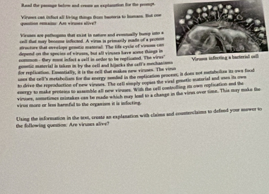 Read the passage below and create an explanation for the prompt 
Viruses can infect all living things from bactoria to humans. But one 
question remais: Are viruses alive? 
Viruses are pathogens that exist in nature and eventually bump into a 
cell that may become infected. A virus is primarily made of a protein 
structure that envelops genetic material. The lifs cycle of viruses can 
depend on the species of viruses, but all viruses have some things in 
common - they must infect a cell in order to be replicated. The virus' 
genetic material is taken in by the cell and hijacks the cell's mechanisms 
for replication. Essentially, it is the cell that makes new viruses. The virus 
uses the cell's metabolism for the energy needed in the replication process; it does not metabolize its own food 
to drive the reproduction of new viruses. The cell simply copies the viral genetic material and uses its own 
energy to make proteins to assemble all new viruses. With the cell controlling its own replication and the 
viruses, sometimes mistakes can be made which may lead to a change in the virus over time. This may make the 
virus more or less harmful to the organism it is infecting. 
Using the information in the text, create an explanation with claims and counterclaims to defend your answer to 
the following question: Are viruses alive?