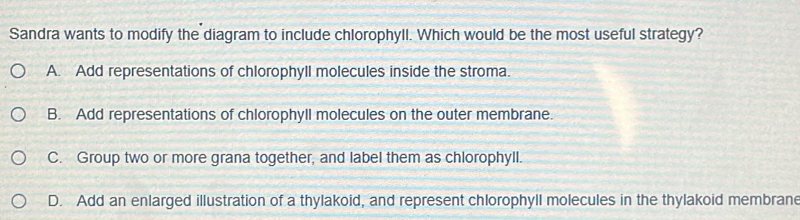 Sandra wants to modify the diagram to include chlorophyll. Which would be the most useful strategy?
A. Add representations of chlorophyll molecules inside the stroma.
B. Add representations of chlorophyll molecules on the outer membrane.
C. Group two or more grana together, and label them as chlorophyll.
D. Add an enlarged illustration of a thylakoid, and represent chlorophyll molecules in the thylakoid membrane