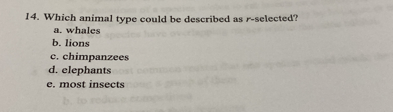 Which animal type could be described as r-selected?
a. whales
b. lions
c. chimpanzees
d. elephants
e. most insects