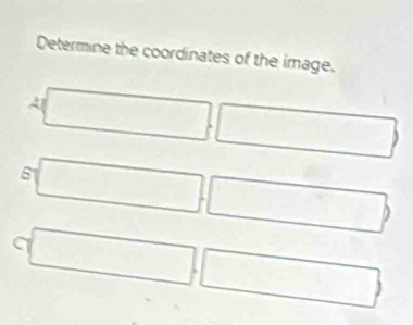 Determine the coordinates of the image.
a