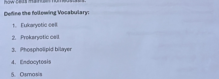 how cells maintain homeostasis. 
Define the following Vocabulary: 
1. Eukaryotic cell 
2. Prokaryotic cell 
3. Phospholipid bilayer 
4. Endocytosis 
5. Osmosis