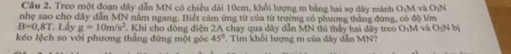 Treo một đoạn dây dẫn MN có chiều dài 10cm, khổi lượng m bằng hai sợ dây mành O_1M và O_2N
nhẹ sao cho đây dẫn MN nằm ngang. Biết cảm ứng từ của từ trường có phương thắng đứng, có độ lớn
B=0,8T Lầy g=10m/s^2. Khi cho dòng điện 2A chạy qua dây dẫn MN thì thấy hai dây treo O_1M và O_2N bị 
kéo lệch so với phương thẳng đứng một góc 45° Tim khổi lượng m của đây dẫn MN?
