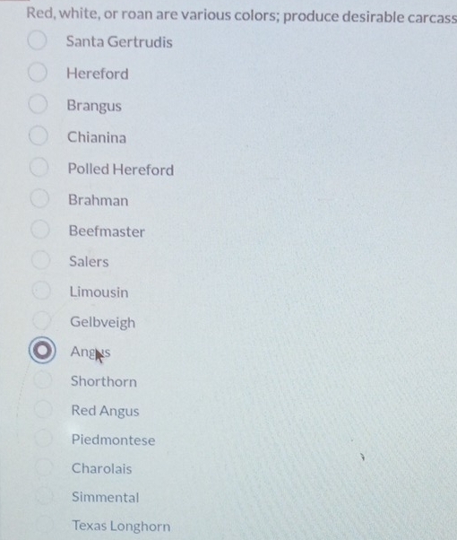 Red, white, or roan are various colors; produce desirable carcass 
Santa Gertrudis 
Hereford 
Brangus 
Chianina 
Polled Hereford 
Brahman 
Beefmaster 
Salers 
Limousin 
Gelbveigh 
Angus 
Shorthorn 
Red Angus 
Piedmontese 
Charolais 
Simmental 
Texas Longhorn