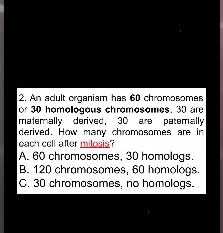 An adult organism has 60 chromosomes
or 30 hémélégeus chrémésèmes, 30 are
matemally derived, 30 are patemally
derived. How many chromosomes are in
each cell after milosis?
A. 60 chromosomes, 30 homologs.
B. 120 chramosomes, 60 homologs.
C. 30 chromosomes, no homologs.