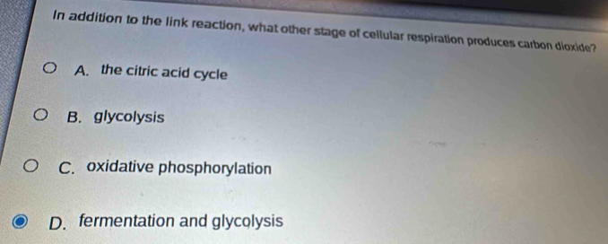 In addition to the link reaction, what other stage of cellular respiration produces carbon dioxide?
A. the citric acid cycle
B. glycolysis
C. oxidative phosphorylation
D. fermentation and glycolysis