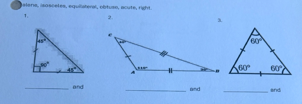 alene, isosceles, equilateral, obtuse, acute, right.
1.
2.
3.
_and _and _and