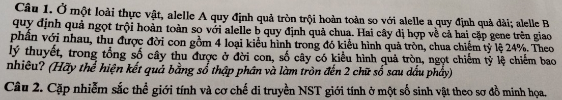 Ở một loài thực vật, alelle A quy định quả tròn trội hoàn toàn so với alelle a quy định quả dài; alelle B 
quy định quả ngọt trội hoàn toàn so với alelle b quy định quả chua. Hai cây dị hợp về cả hai cặp gene trên giao 
phần với nhau, thu được đời con gồm 4 loại kiểu hình trong đó kiểu hình quả tròn, chua chiếm tỷ lệ 24%. Theo 
lý thuyết, trong tổng số cây thu được ở đời con, số cây có kiểu hình quả tròn, ngọt chiếm tỷ lệ chiếm bao 
nhiêu? (Hãy thể hiện kết quả bằng sổ thập phân và làm tròn đến 2 chữ số sau dấu phẩy) 
Câu 2. Cặp nhiễm sắc thể giới tính và cơ chế di truyền NST giới tính ở một số sinh vật theo sơ đồ minh họa.