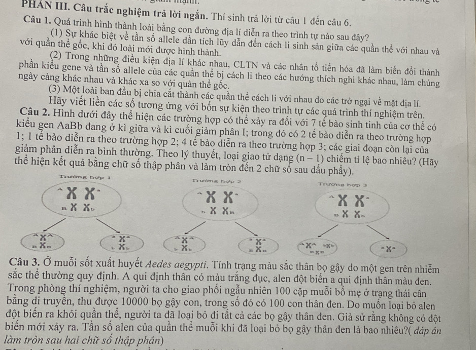 PHẢN III. Câu trắc nghiệm trả lời ngắn. Thí sinh trả lời từ câu 1 đến câu 6.
Câu 1. Quá trình hình thành loài bằng con đường địa lí diễn ra theo trình tự nào sau đây?
(1) Sự khác biệt về tần số allele dần tích lũy dẫn đến cách li sinh sản giữa các quần thể với nhau và
với quần thể gốc, khi đó loài mới được hình thành.
(2) Trong những điều kiện địa lí khác nhau, CLTN và các nhân tố tiến hóa đã làm biến đổi thành
phần kiểu gene và tần số allele của các quần thể bị cách li theo các hướng thích nghi khác nhau, làm chúng
ngày càng khác nhau và khác xa so với quản thể gốc.
(3) Một loài ban đầu bị chia cắt thành các quần thể cách li với nhau do các trở ngại về mặt địa lí.
Hãy viết liền các số tương ứng với bốn sự kiện theo trình tự các quá trình thí nghiệm trên.
Câu 2. Hình dưới đây thể hiện các trường hợp có thể xảy ra đối với 7 tế bào sinh tinh của cơ thể có
kiểu gen AaBb đang ở kì giữa và kì cuối giảm phân I; trong đó có 2 tế bào diễn ra theo trường hợp
1; 1 tế bào diễn ra theo trường hợp 2; 4 tế bào diễn ra theo trường hợp 3; các giai đoạn còn lại của
giảm phân diễn ra bình thường. Theo lý thuyết, loại giao tử dạng (n-1 ) chiếm tỉ lệ bao nhiêu? (Hãy
thể hiện kết quả bằng chữ số thập phân và làm tròn đến 2 chữ số sau dầu phầy).
Câu 3. Ở muỗi sốt xuất huyết Aedes aegypti. Tính trạng màu sắc thân bọ gậy do một gen trên nhiễm
sắc thể thường quy định. A qui định thân có màu trắng đục, alen đột biển a qui định thân màu đen.
Trong phòng thí nghiệm, người ta cho giao phối ngẫu nhiên 100 cặp muỗi bố mẹ ở trạng thái cân
bằng di truyền, thu được 10000 bọ gậy con, trong số đó có 100 con thân đen. Do muốn loại bỏ alen
đột biến ra khỏi quần thể, người ta đã loại bỏ đi tất cả các bọ gậy thân den. Giả sử rằng không có đột
biển mới xảy ra. Tần số alen của quần thể muỗi khi đã loại bỏ bọ gậy thân đen là bao nhiêu?( đáp án
làm tròn sau hai chữ số thập phân)