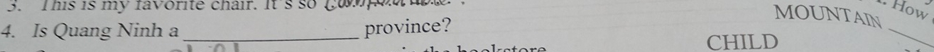 This is my favorite chair. Its so go pod . How 
MOUNTAIN 
4. Is Quang Ninh a _province? 
CHILD 
_