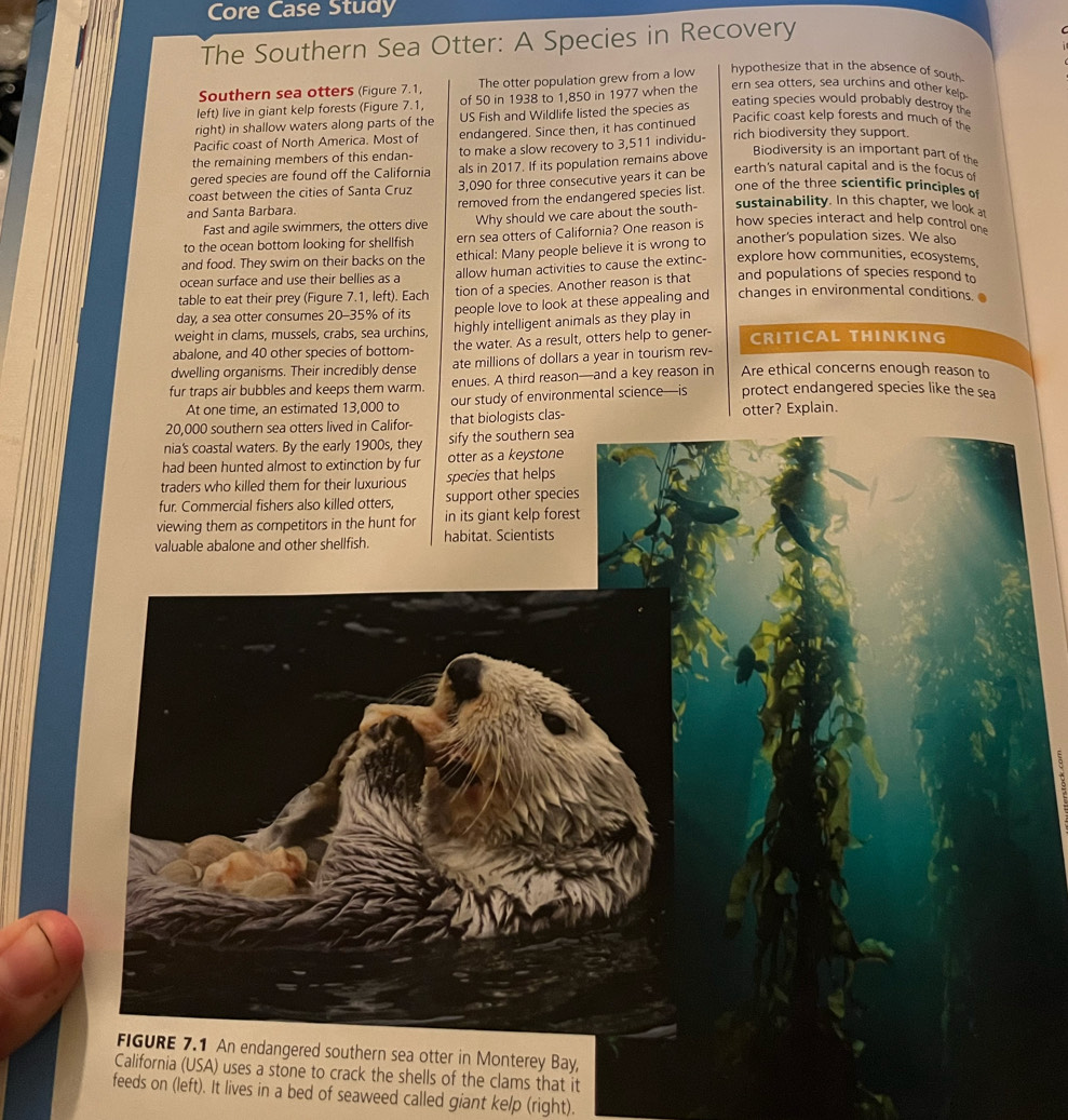 Core Case Study
The Southern Sea Otter: A Species in Recovery
Southern sea otters (Figure 7.1, The otter population grew from a low hypothesize that in the absence of south.
left) live in giant kelp forests (Figure 7.1, of 50 in 1938 to 1,850 in 1977 when the ern sea otters, sea urchins and other kelp
right) in shallow waters along parts of the US Fish and Wildlife listed the species as eating species would probably destroy the
Pacific coast of North America. Most of endangered. Since then, it has continued
Pacific coast kelp forests and much of the
the remaining members of this endan- to make a slow recovery to 3,511 individu- rich biodiversity they support.
gered species are found off the California als in 2017. If its population remains above
Biodiversity is an important part of the
coast between the cities of Santa Cruz 3,090 for three consecutive years it can be
earth's natural capital and is the focus of
and Santa Barbara. removed from the endangered species list. one of the three scientific principles of
Fast and agile swimmers, the otters dive Why should we care about the south- sustainability. In this chapter, we look at
to the ocean bottom looking for shellfish ern sea otters of California? One reason is how species interact and help control on
and food. They swim on their backs on the ethical: Many people believe it is wrong to another's population sizes. We also
ocean surface and use their bellies as a allow human activities to cause the extinc- explore how communities, ecosystems.
table to eat their prey (Figure 7.1, left). Each tion of a species. Another reason is that and populations of species respond to
day, a sea otter consumes 20-35% of its people love to look at these appealing and changes in environmental conditions. 
weight in clams, mussels, crabs, sea urchins, highly intelligent animals as they play in
abalone, and 40 other species of bottom- the water. As a result, otters help to gener- CRITICAL THINKING
dwelling organisms. Their incredibly dense ate millions of dollars a year in tourism rev-
Are ethical concerns enough reason to
fur traps air bubbles and keeps them warm. enues. A third reason—and a key reason in protect endangered species like the sea
At one time, an estimated 13,000 to our study of environmental science—is
otter? Explain.
ms that it
feeds on (left). It lives in a bed of seaweed called giant kelp (right).