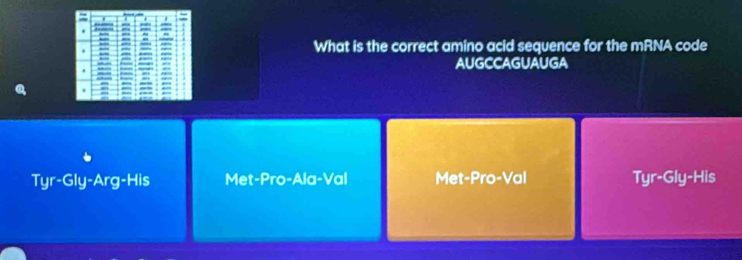 What is the correct amino acid sequence for the mRNA code
AUGCCAGUAUGA
Tyr-Gly-Arg-His Met-Pro-Ala-Val Met-Pro-Val Tyr-Gly-HIs