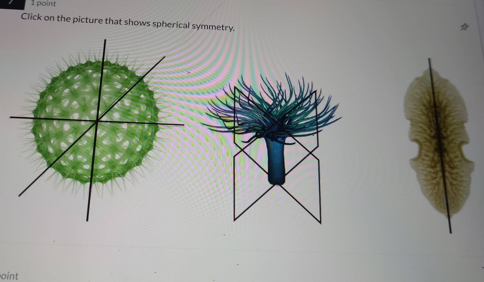 Click on the picture that shows spherical symmetry. 
oint