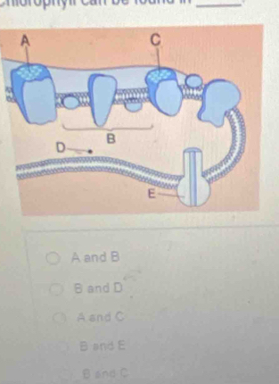 A and B
B and D
A and C
B and E
B and C