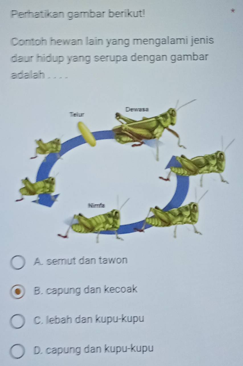 Perhatikan gambar berikut!
Contoh hewan lain yang mengalami jenis
daur hidup yang serupa dengan gambar
adalah . . . .
A. semut dan tawon
B. capung dan kecoak
C. lebah dan kupu-kupu
D. capung dan kupu-kupu