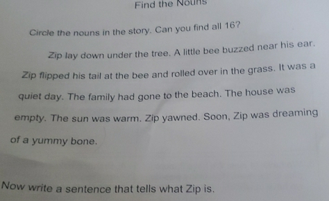 Find the Nouns 
Circle the nouns in the story. Can you find all 16? 
Zip lay down under the tree. A little bee buzzed near his ear. 
Zip flipped his tail at the bee and rolled over in the grass. It was a 
quiet day. The family had gone to the beach. The house was 
empty. The sun was warm. Zip yawned. Soon, Zip was dreaming 
of a yummy bone. 
Now write a sentence that tells what Zip is.